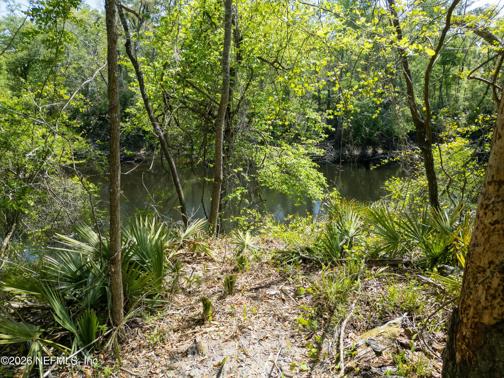 Lot 12 NE Madison Bluffs Way Lee FL 32059