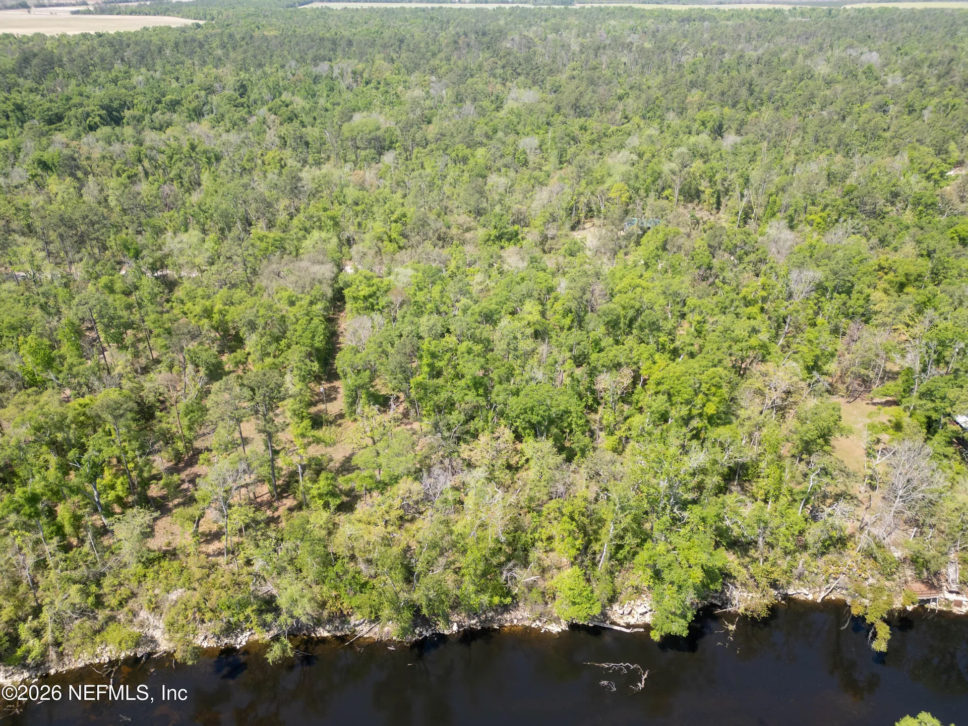 Lot 12 NE Madison Bluffs Way Lee FL 32059