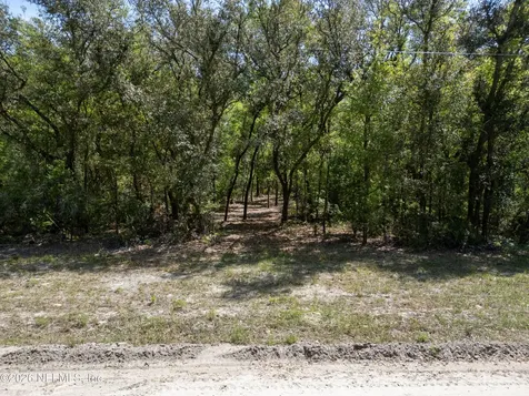 Lot 12 NE Madison Bluffs Way Lee FL 32059