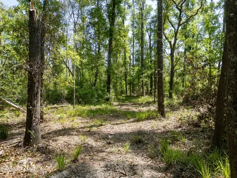 Lot 12 NE Madison Bluffs Way Lee FL 32059