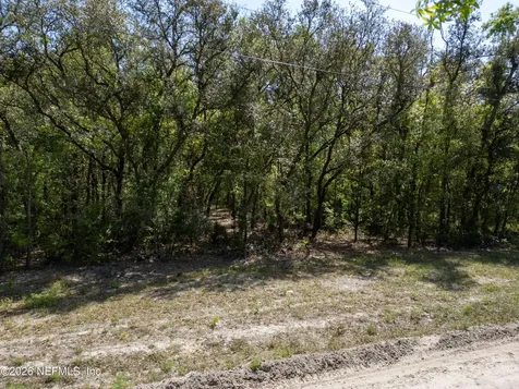 Lot 12 NE Madison Bluffs Way Lee FL 32059
