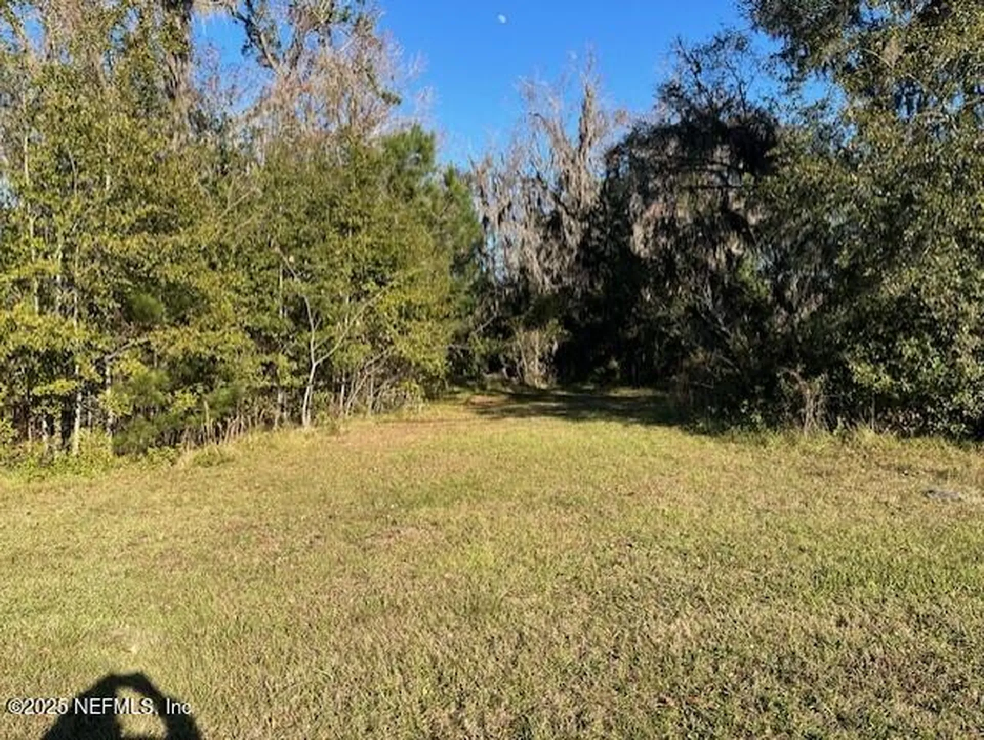 3263 Us Highway 17 Green Cove Springs FL 32043