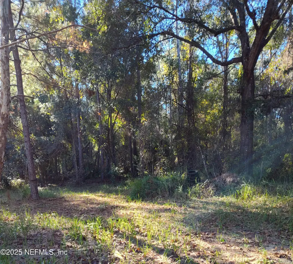 21215 SE 111 Avenue Hawthorne FL 32640