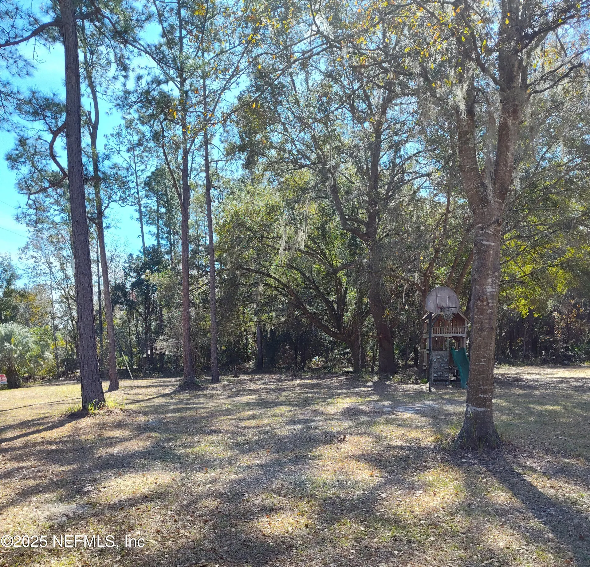 21215 SE 111 Avenue Hawthorne FL 32640