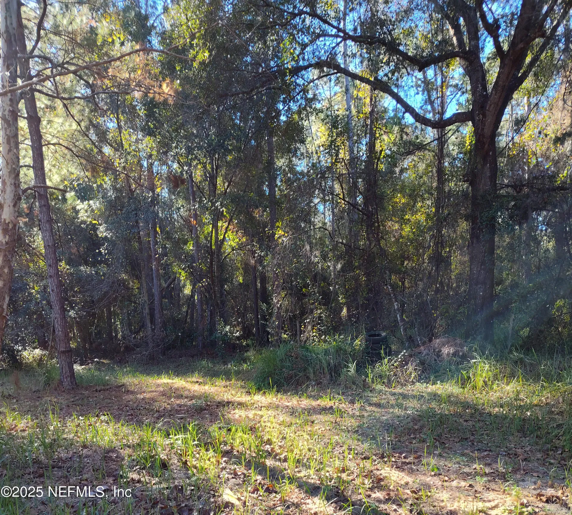 21215 SE 111 Avenue Hawthorne FL 32640