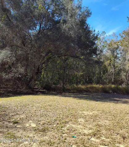 21215 SE 111 Avenue Hawthorne FL 32640