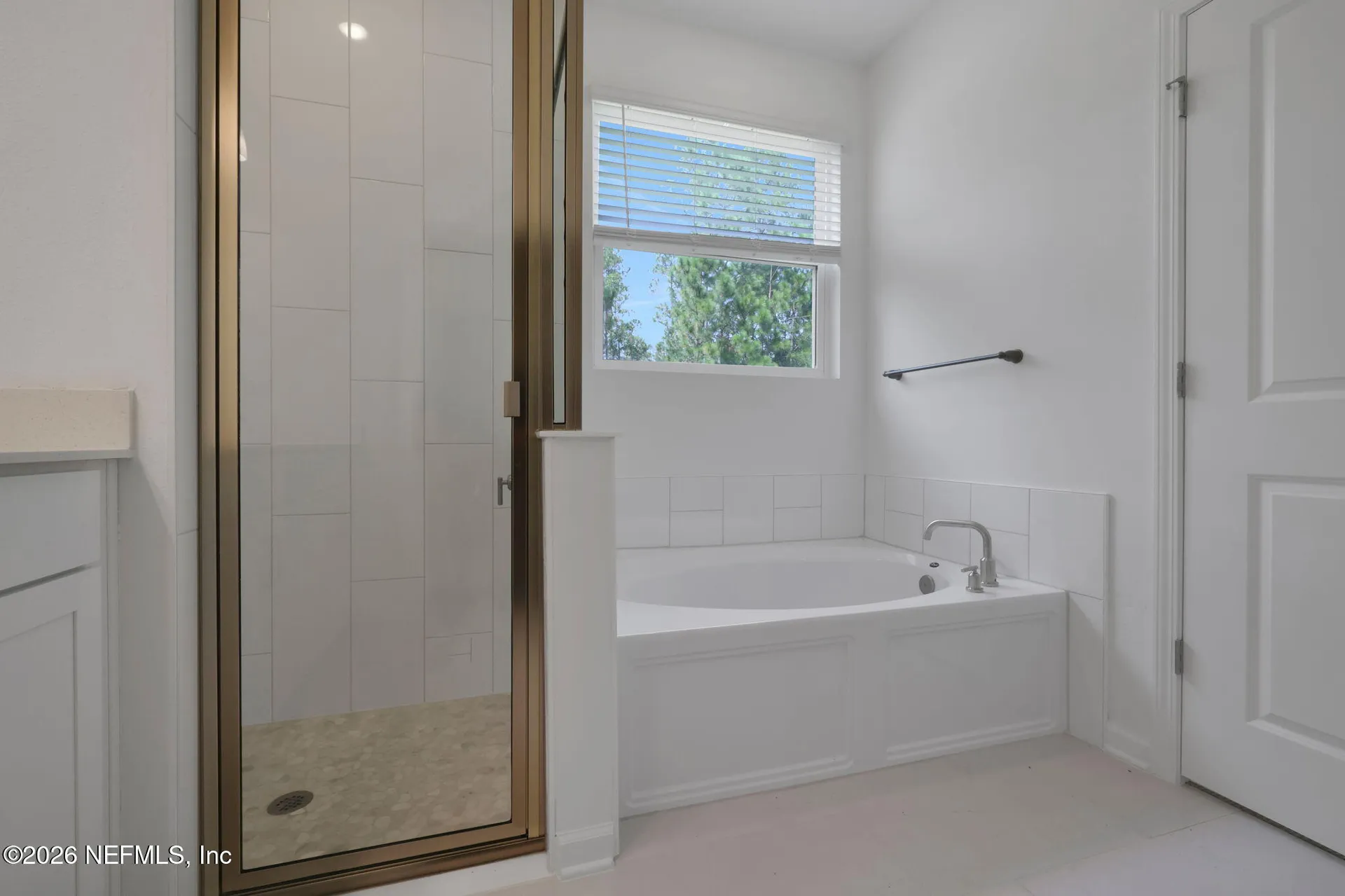 3573 Zydeco Loop Green Cove Springs FL 32043