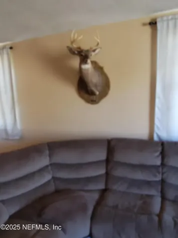 5245 Deer Park Court Middleburg FL 32068