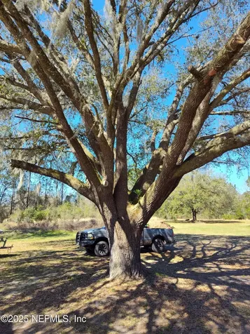 5245 Deer Park Court Middleburg FL 32068