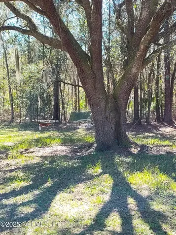 5245 Deer Park Court Middleburg FL 32068