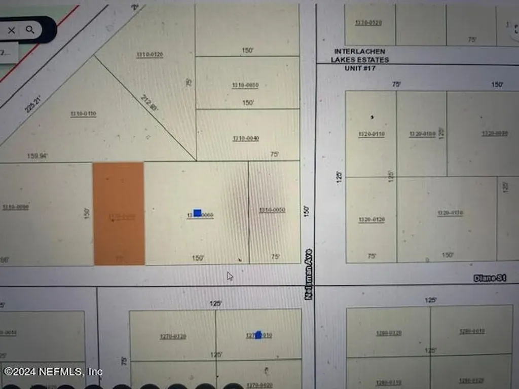 0 Diane Street Interlachen FL 32148