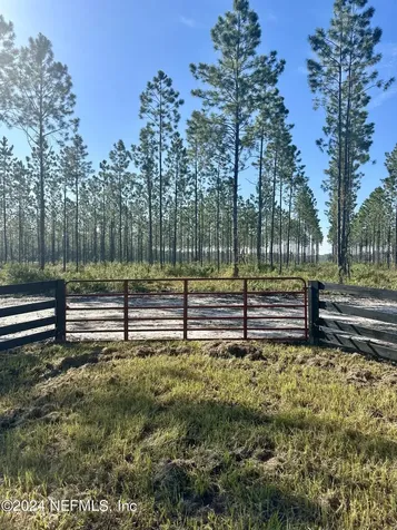 Lot 15 Andrews Road Hilliard FL 32046
