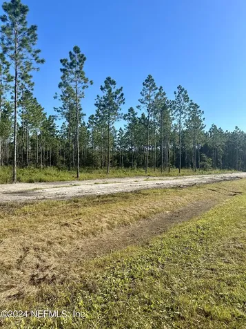 Lot 15 Andrews Road Hilliard FL 32046