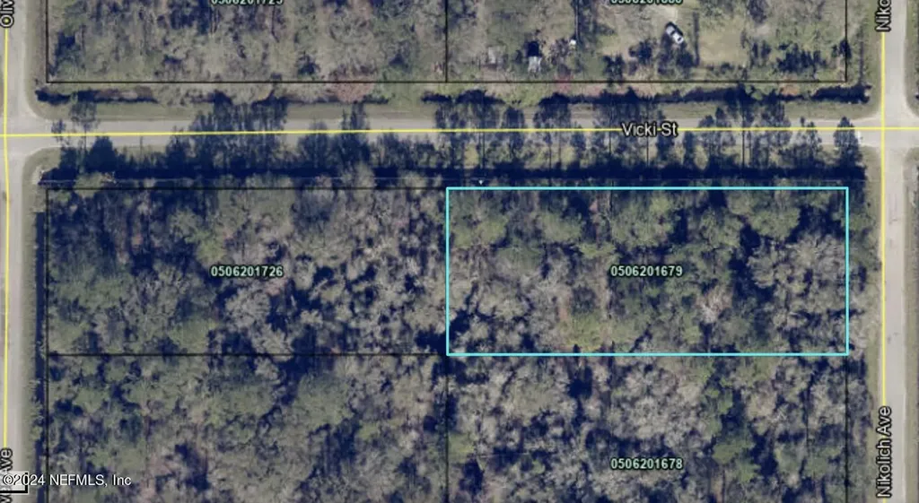 10305 Nikolich Avenue Hastings FL 32145