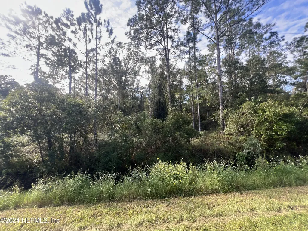 10305 Nikolich Avenue Hastings FL 32145
