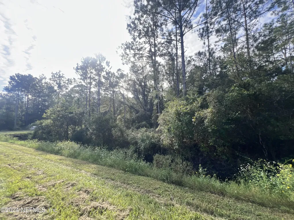 10305 Nikolich Avenue Hastings FL 32145