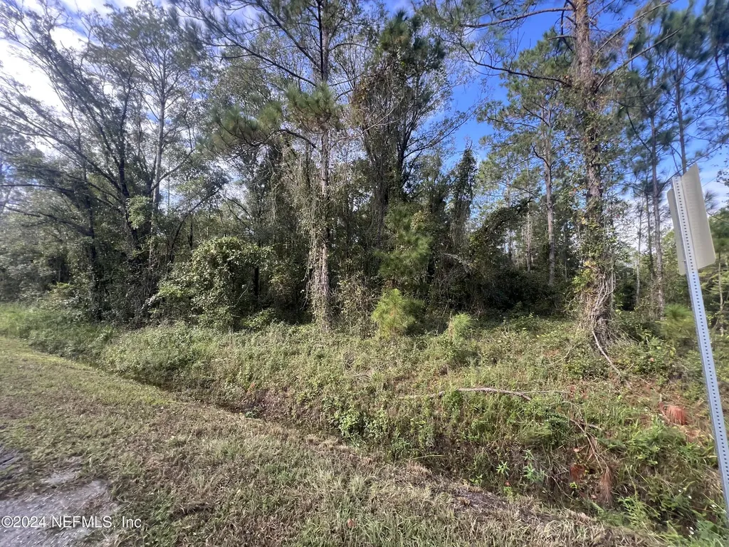 10305 Nikolich Avenue Hastings FL 32145