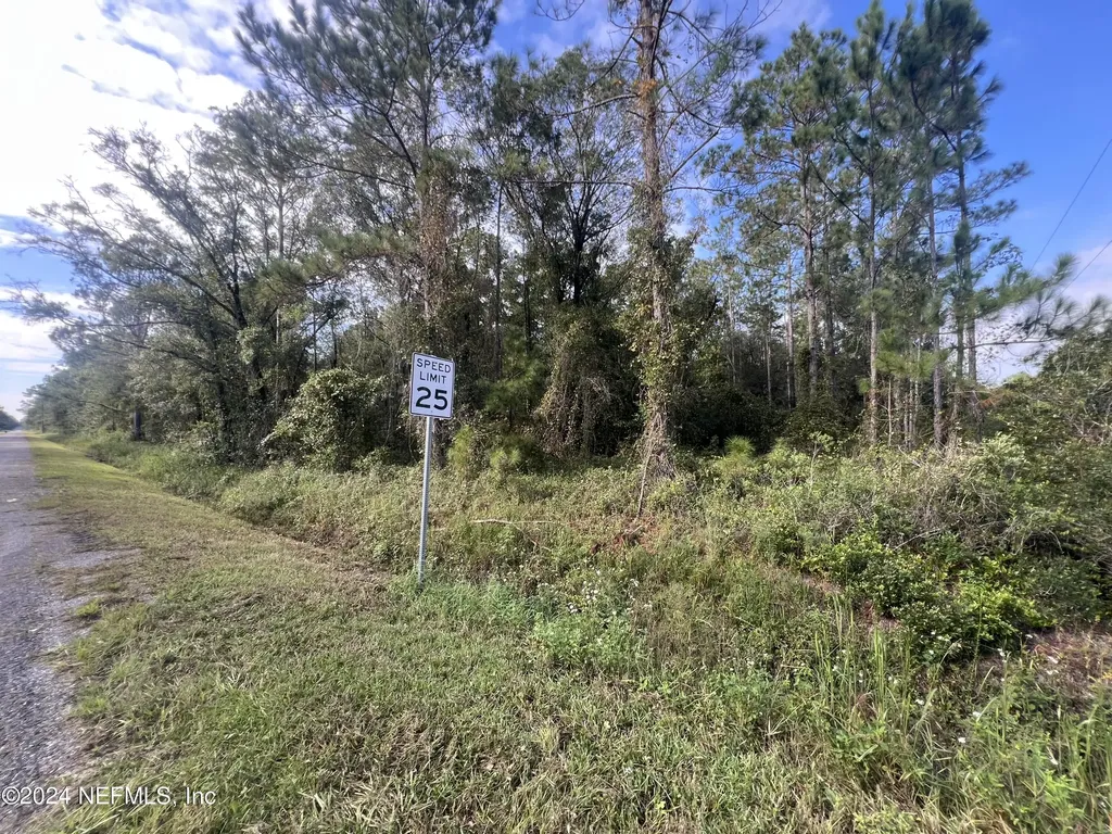 10305 Nikolich Avenue Hastings FL 32145