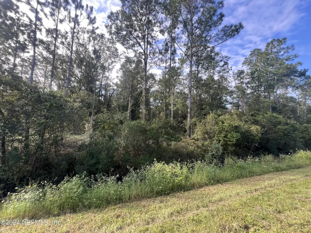 10305 Nikolich Avenue Hastings FL 32145
