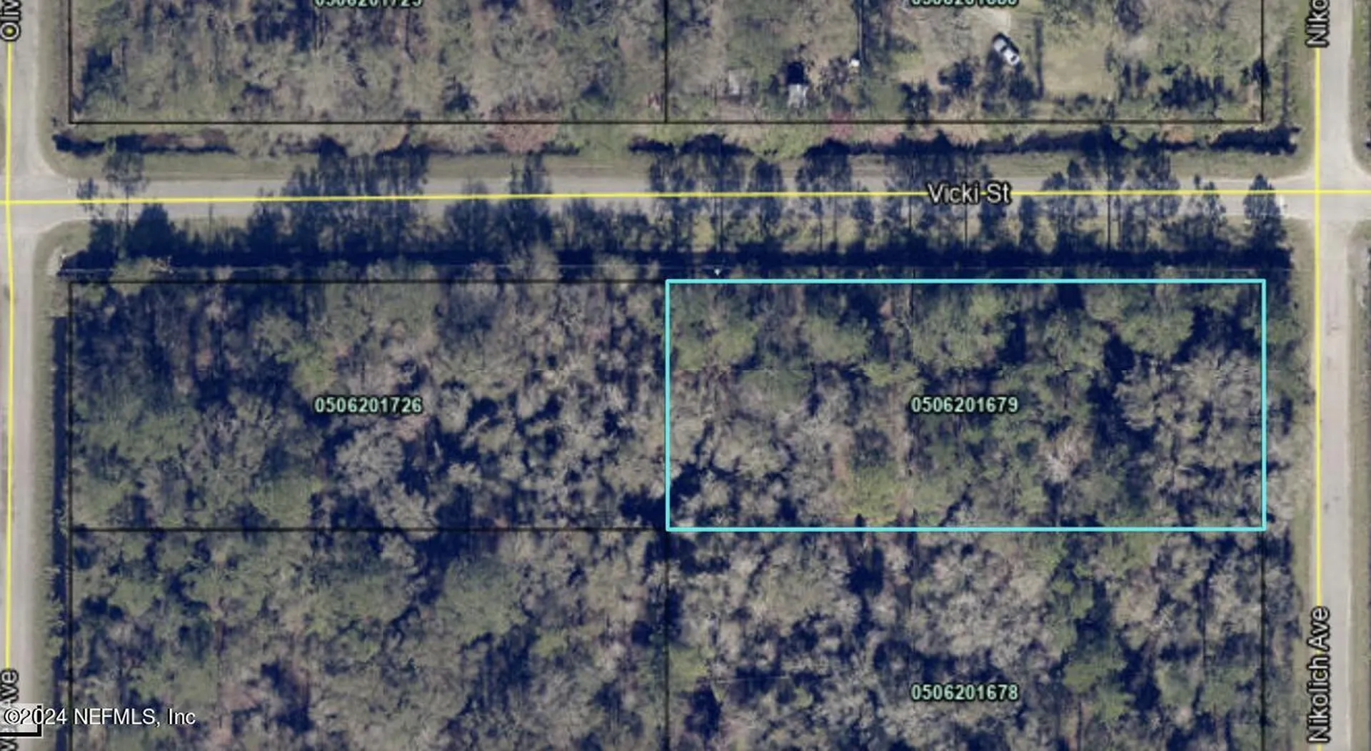 10305 Nikolich Avenue Hastings FL 32145