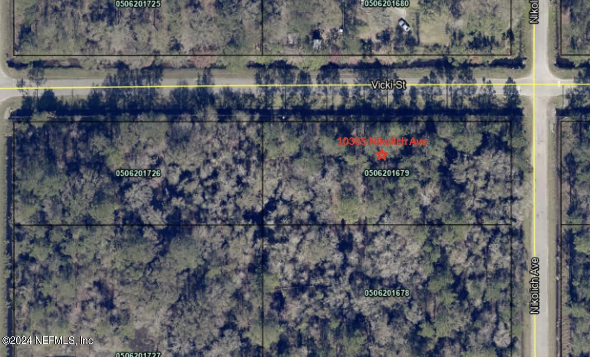 10305 Nikolich Avenue Hastings FL 32145