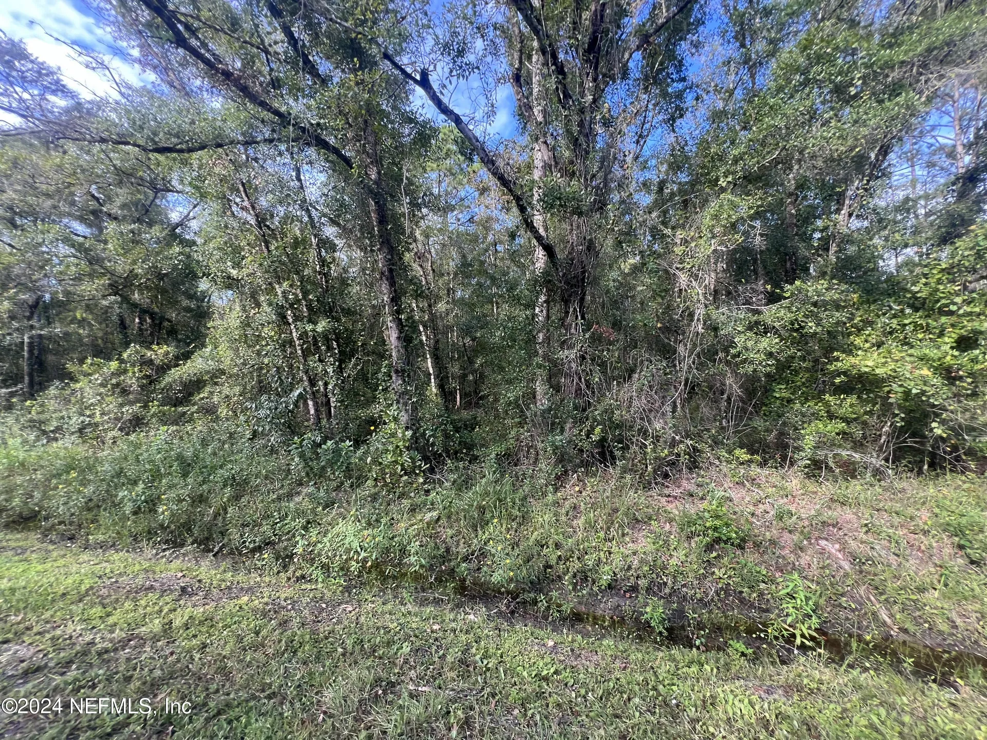 10305 Nikolich Avenue Hastings FL 32145