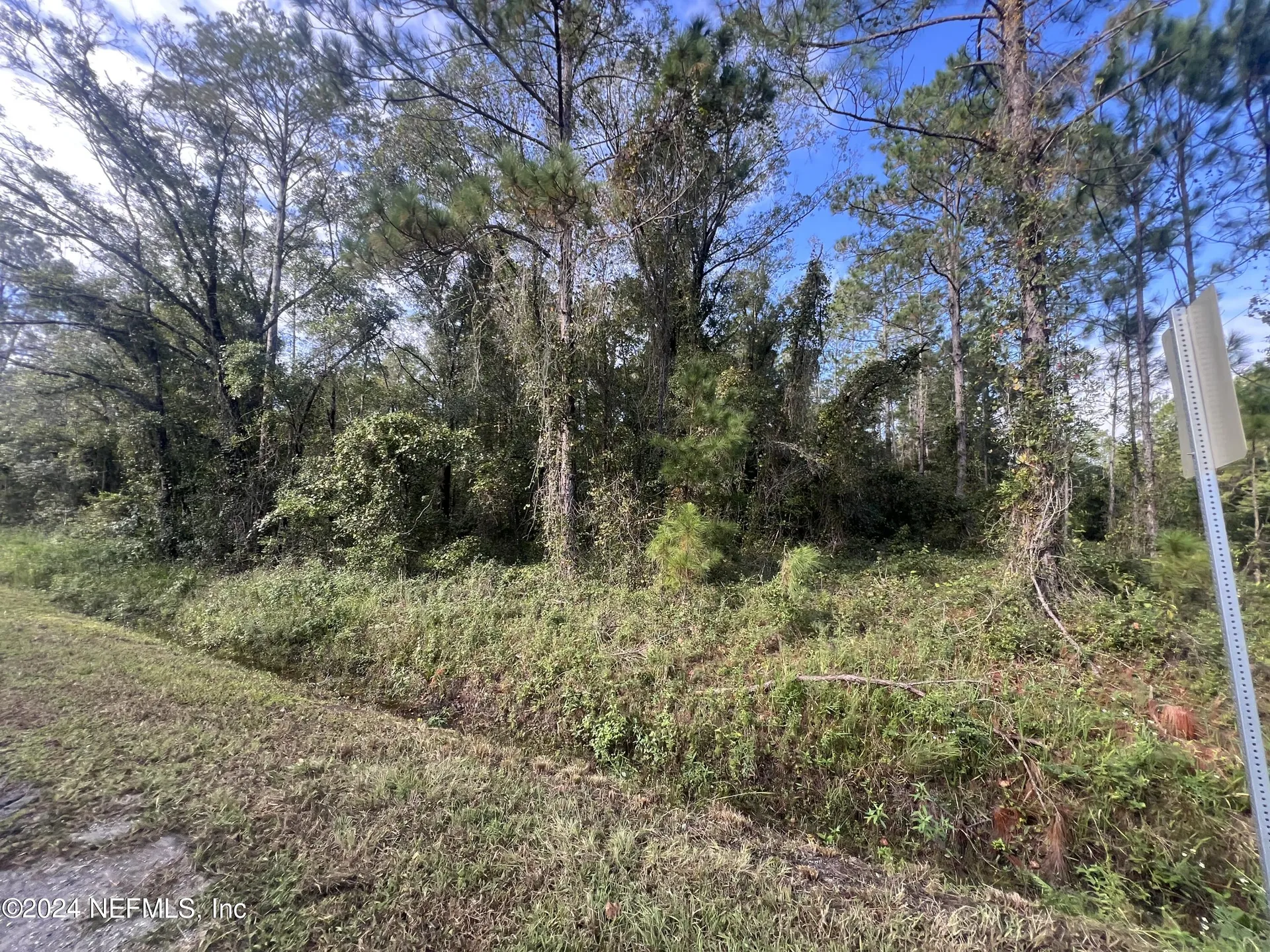 10305 Nikolich Avenue Hastings FL 32145