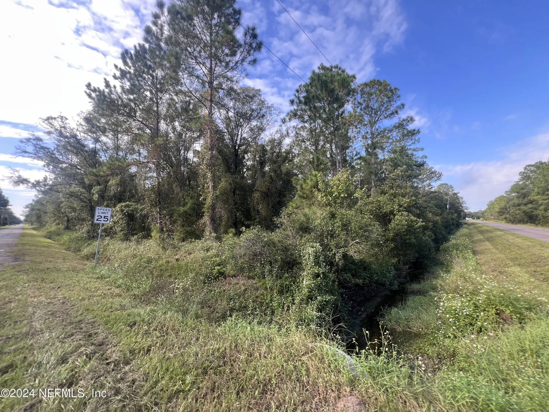 10305 Nikolich Avenue Hastings FL 32145