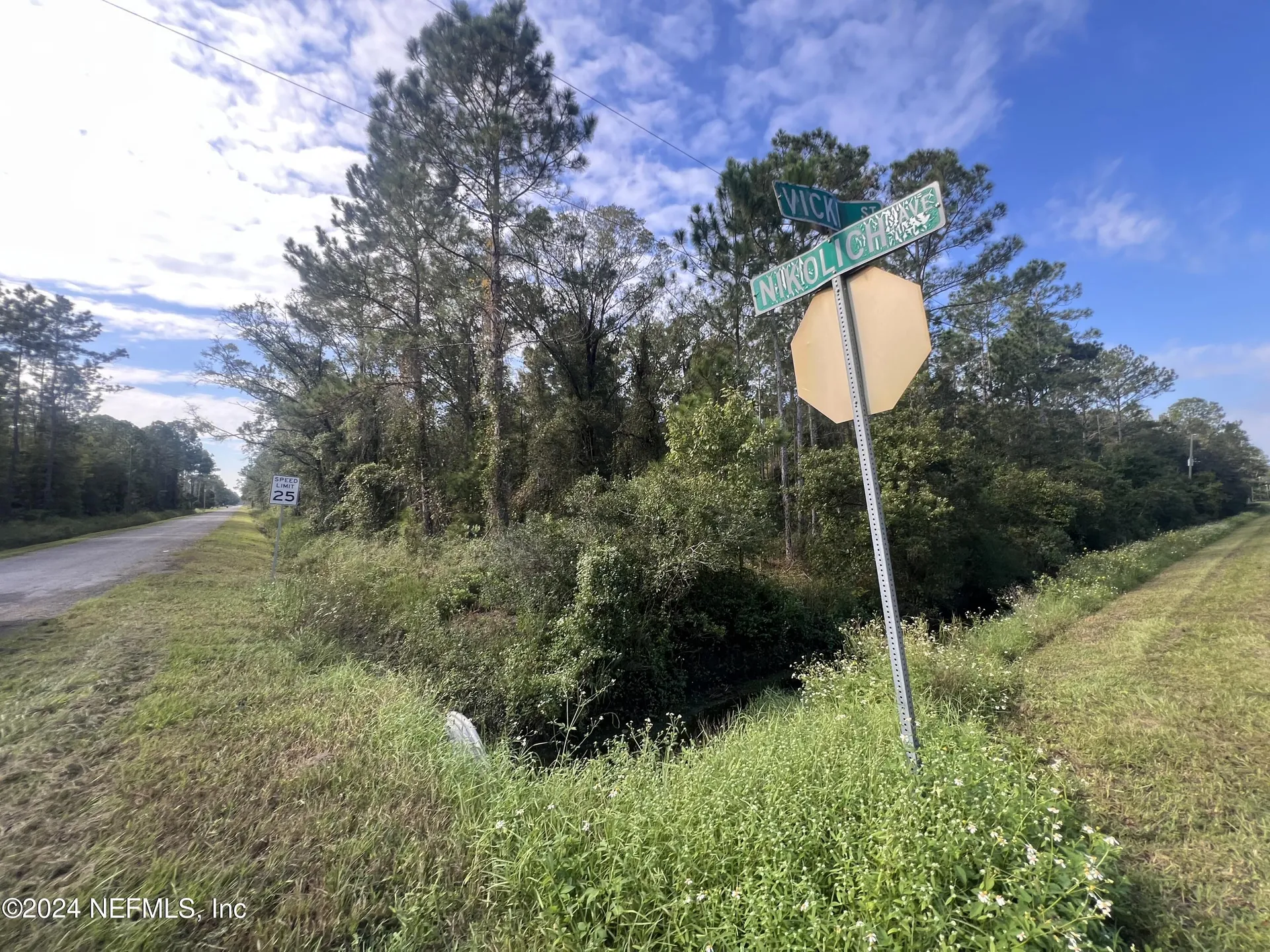 10305 Nikolich Avenue Hastings FL 32145