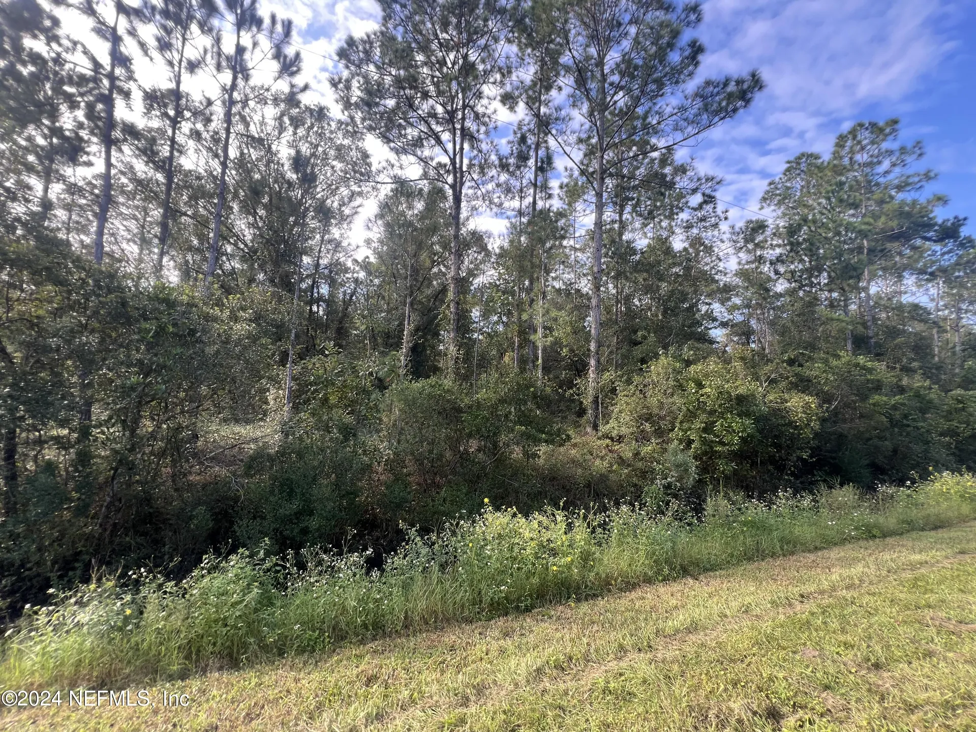 10305 Nikolich Avenue Hastings FL 32145