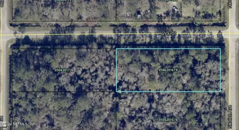 10305 Nikolich Avenue Hastings FL 32145
