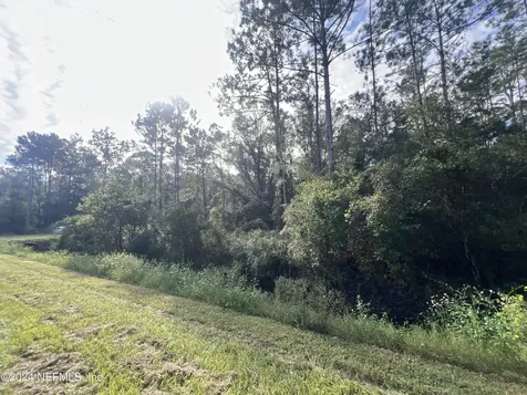 10305 Nikolich Avenue Hastings FL 32145