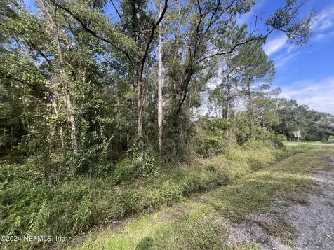 10305 Nikolich Avenue Hastings FL 32145