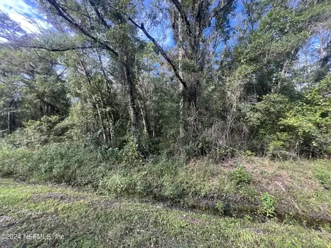 10305 Nikolich Avenue Hastings FL 32145