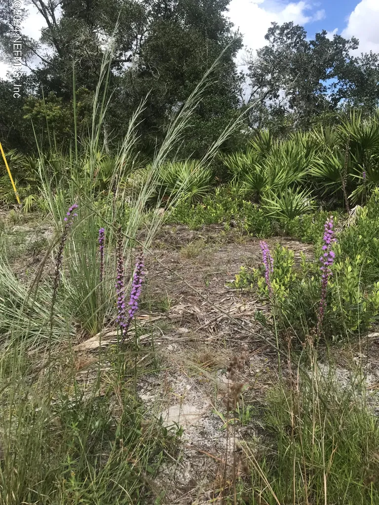 0 Summit Road Satsuma FL 32189