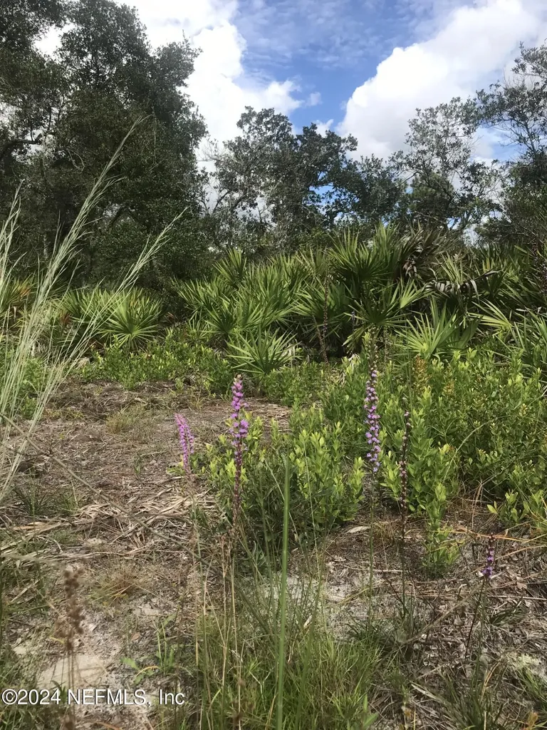 0 Summit Road Satsuma FL 32189