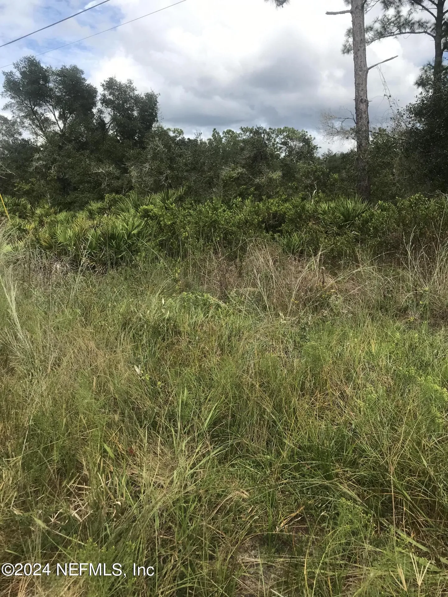 0 Summit Road Satsuma FL 32189