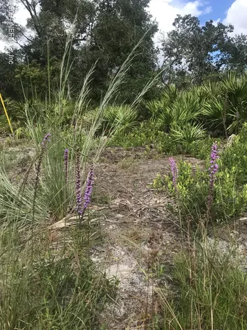 0 Summit Road Satsuma FL 32189