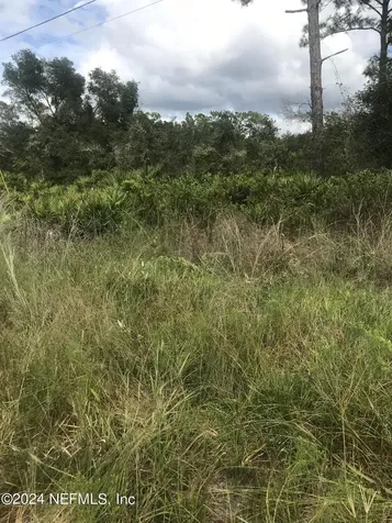 0 Summit Road Satsuma FL 32189