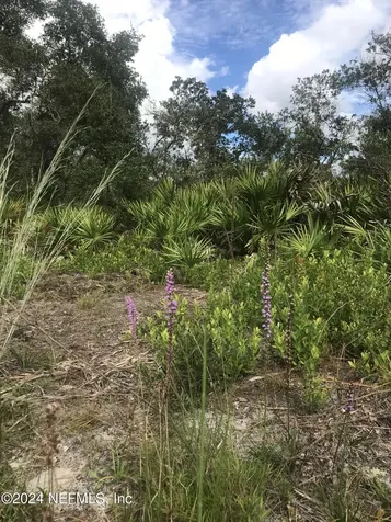 0 Summit Road Satsuma FL 32189