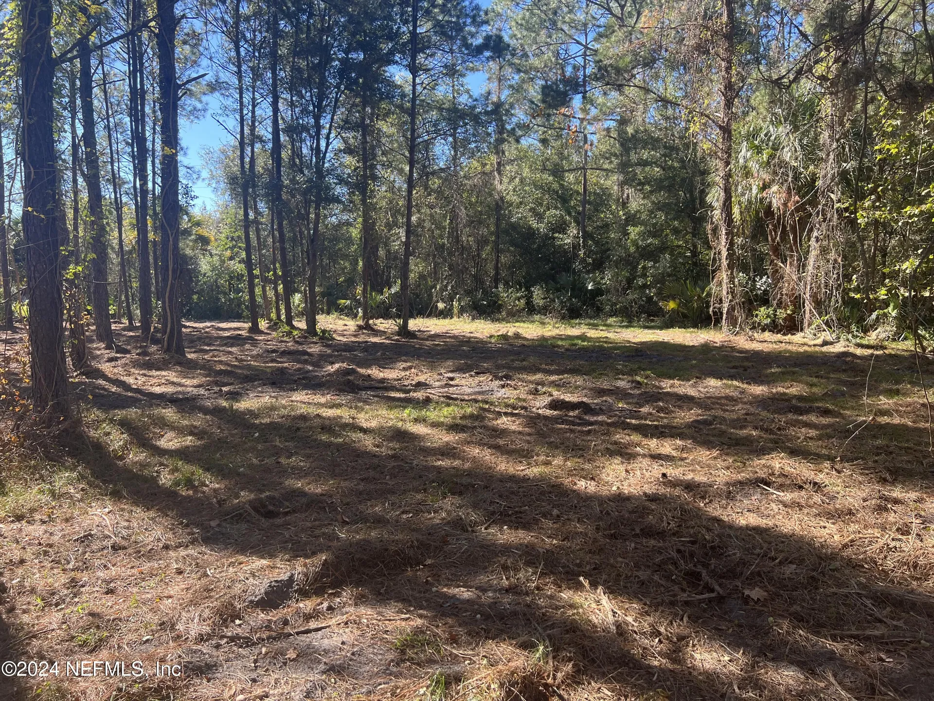 17802 Us-301 Waldo FL 32694