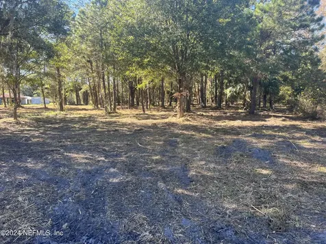 17802 Us-301 Waldo FL 32694