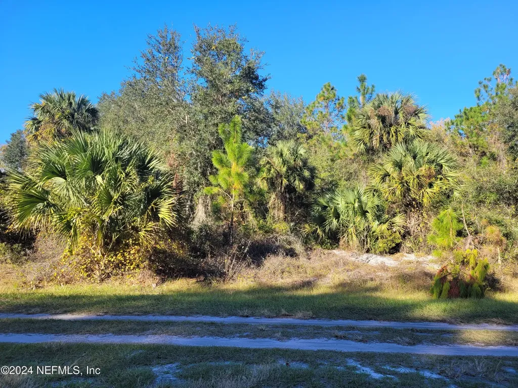 910 Paradise Boulevard Georgetown FL 32139