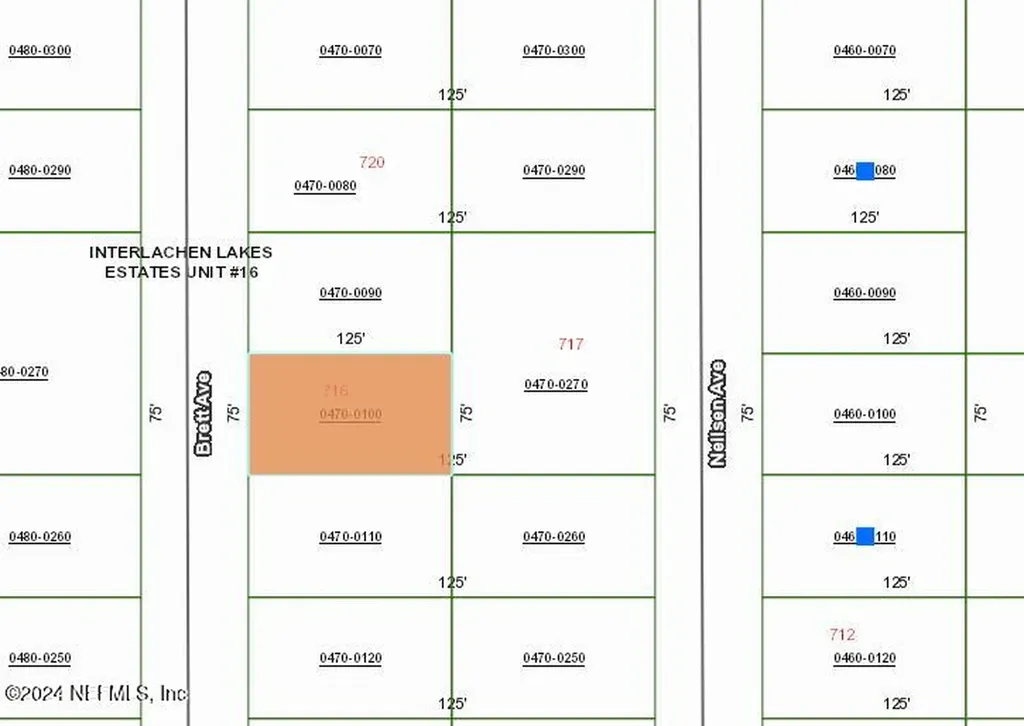 716 Brett Avenue Interlachen FL 32148