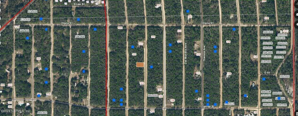0000 Neilsen Avenue Interlachen FL 32148