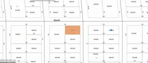 0000000 David Avenue Interlachen FL 32148