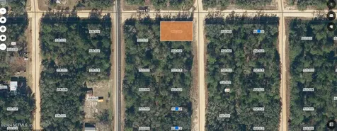 0000000 David Avenue Interlachen FL 32148