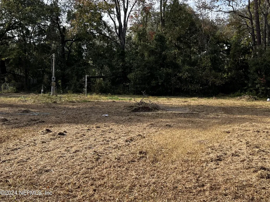 2282 Hidden Waters Drive E Green Cove Springs FL 32043