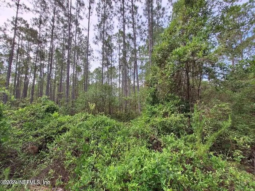 107 Mosswood Street Georgetown FL 32139