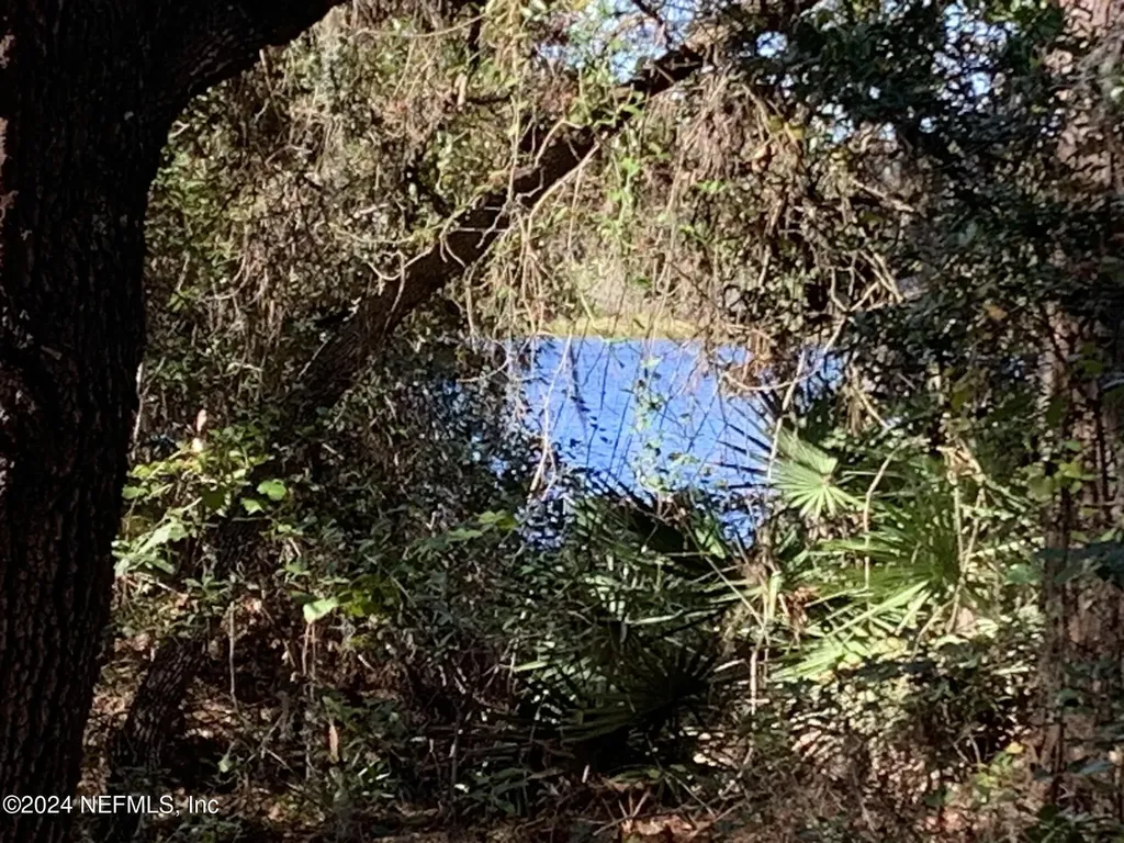 105 Palmer Drive Interlachen FL 32148